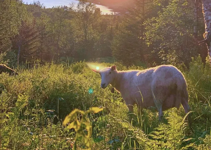 4 Person In Apartament *